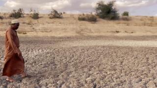 TRT World'ün Kenya'daki kuraklığa dikkati çeken belgeseli altın madalya kazandı