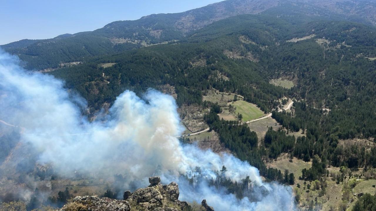 Kütahya'da orman yangını çıktı