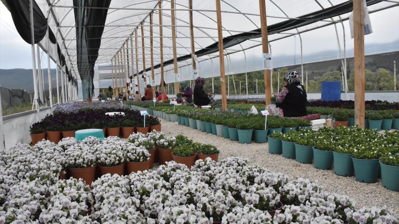 "Sektörümüzün bölgeye ekonomik katkısı 35-40 milyon lira civarında"