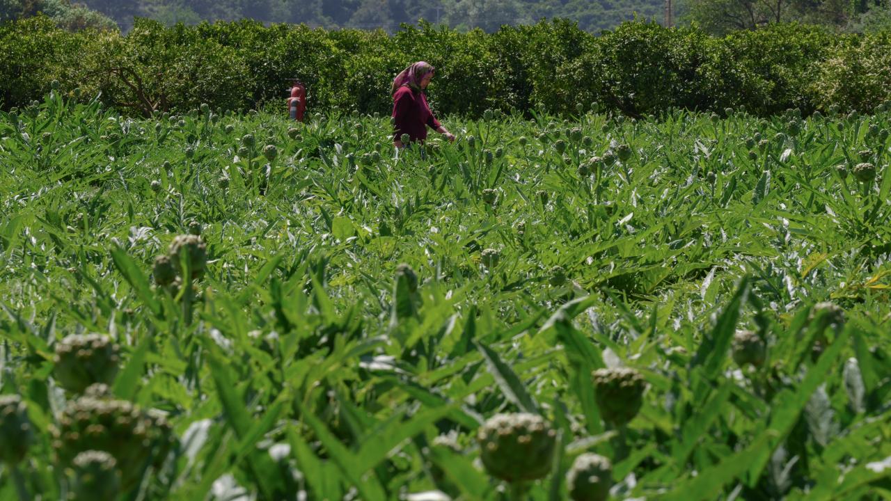 Üretici talepten memnun