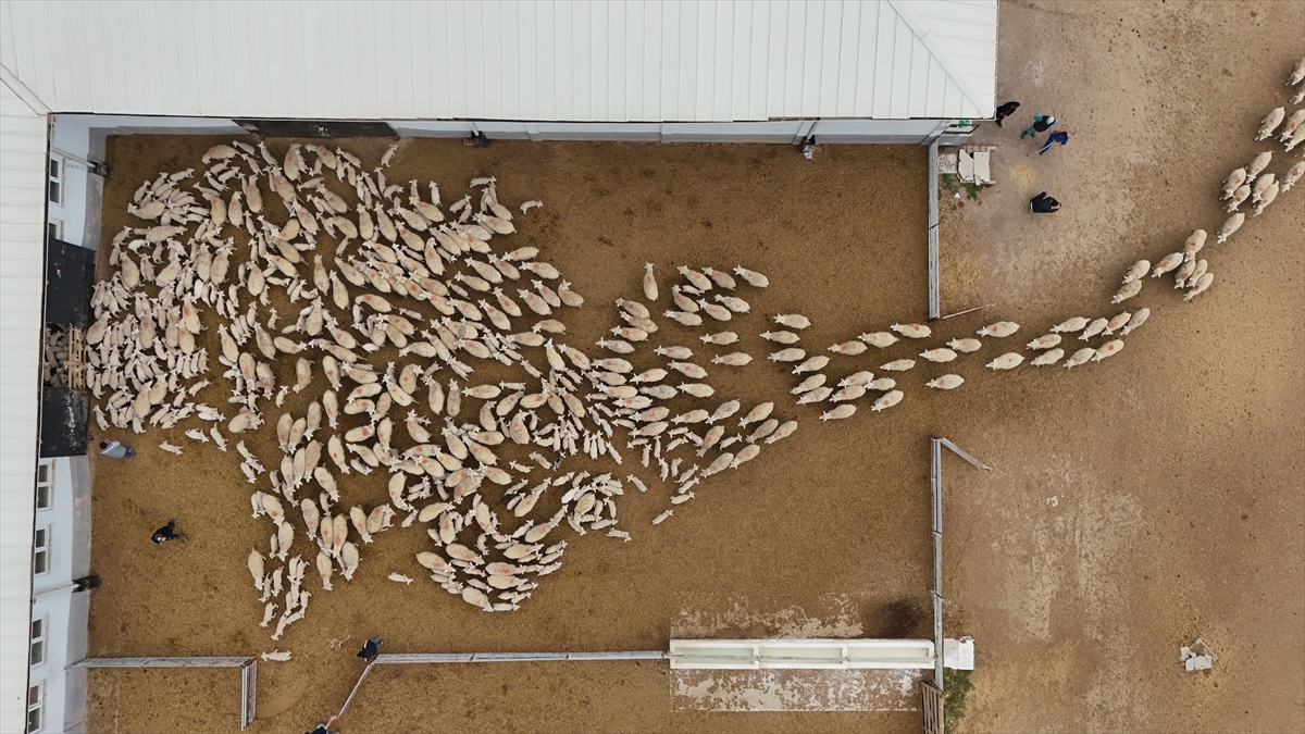 "Sürümüzü gençleştirdik"