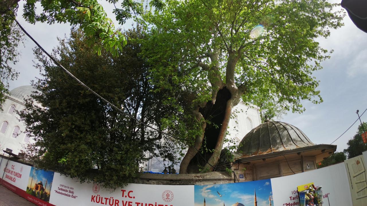 Ayasofya Meydanı (Çınar)