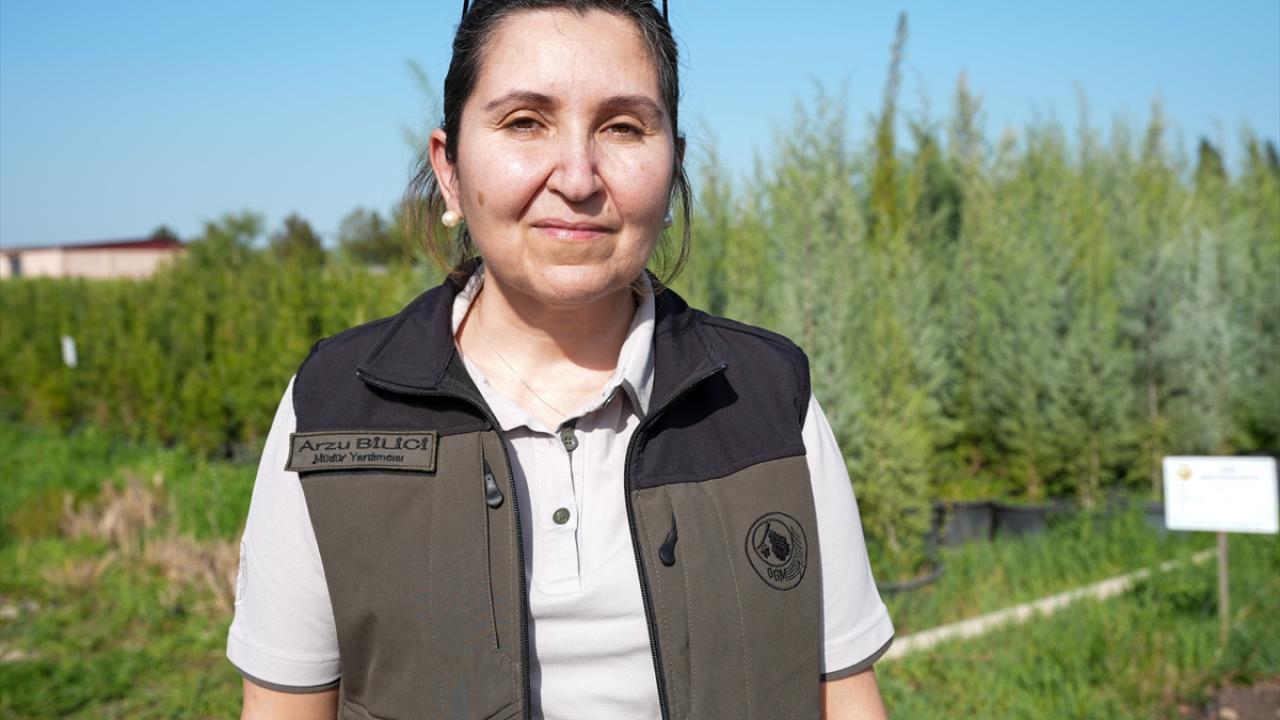 "Azerbaycan`a fidan gönderiyoruz"