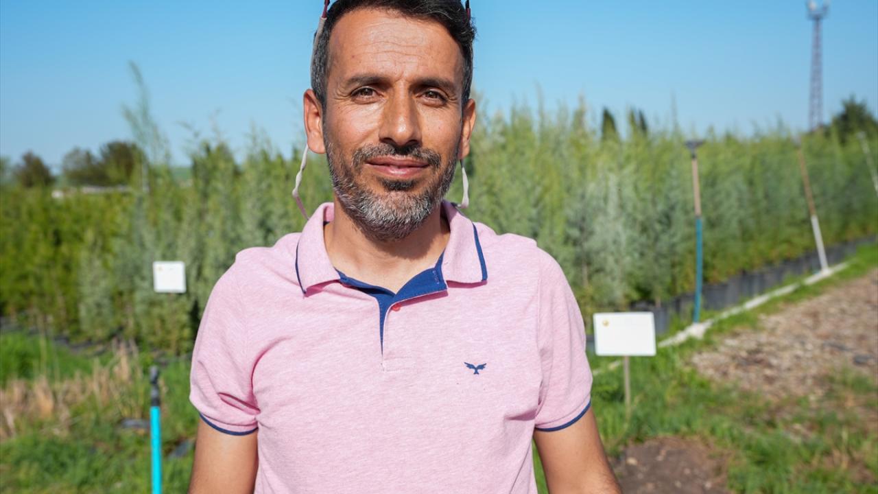 "Bölgede 7 il için fidan üretimi yapıyoruz"