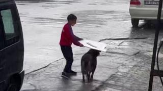 Küçük çocuk yağmurda ıslanan köpeği korudu