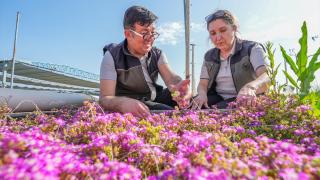 Diyarbakır'da yılda 3 milyon fidan yetiştiriliyor