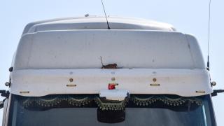 Tır şoförü, aracına yuva yapan kuş için kontak kapattı