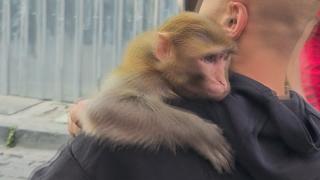 İstanbul Fatih'te "Momo" yine ortalığı karıştırdı