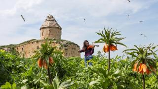 Ters laleler, martılar... İşte ilkbaharda renklenen Çarpanak Adası