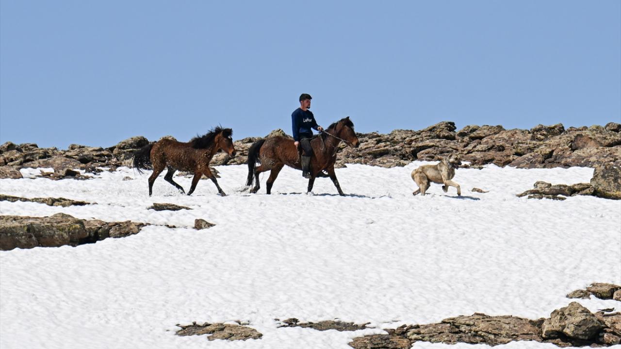 "Batıda insanlar denize giriyor, biz kar altındayız"