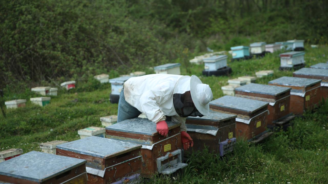Ordulu Gezgin Ar c lar G e Haz rlan yor TRT Haber Foto Galeri ordulu-gezgin-ar-c-lar-g-e-haz-rlan-yor-trt-haber-foto-galeri