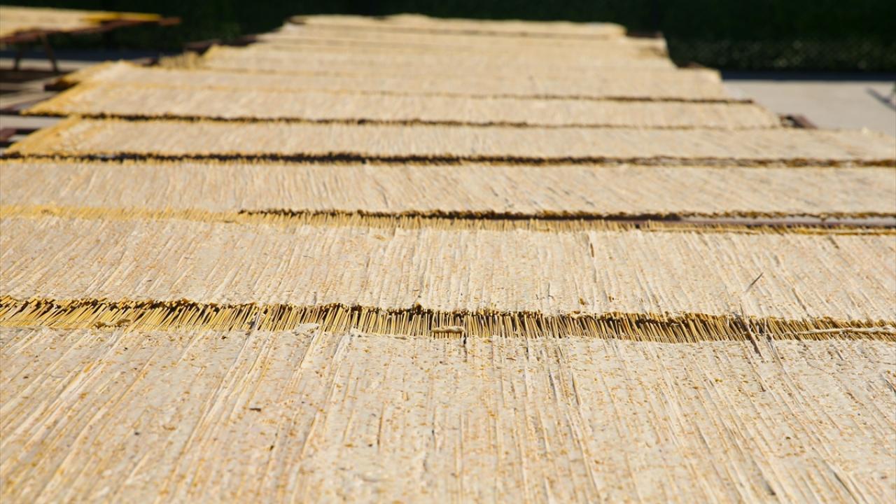 Depreme rağmen ciro arttı