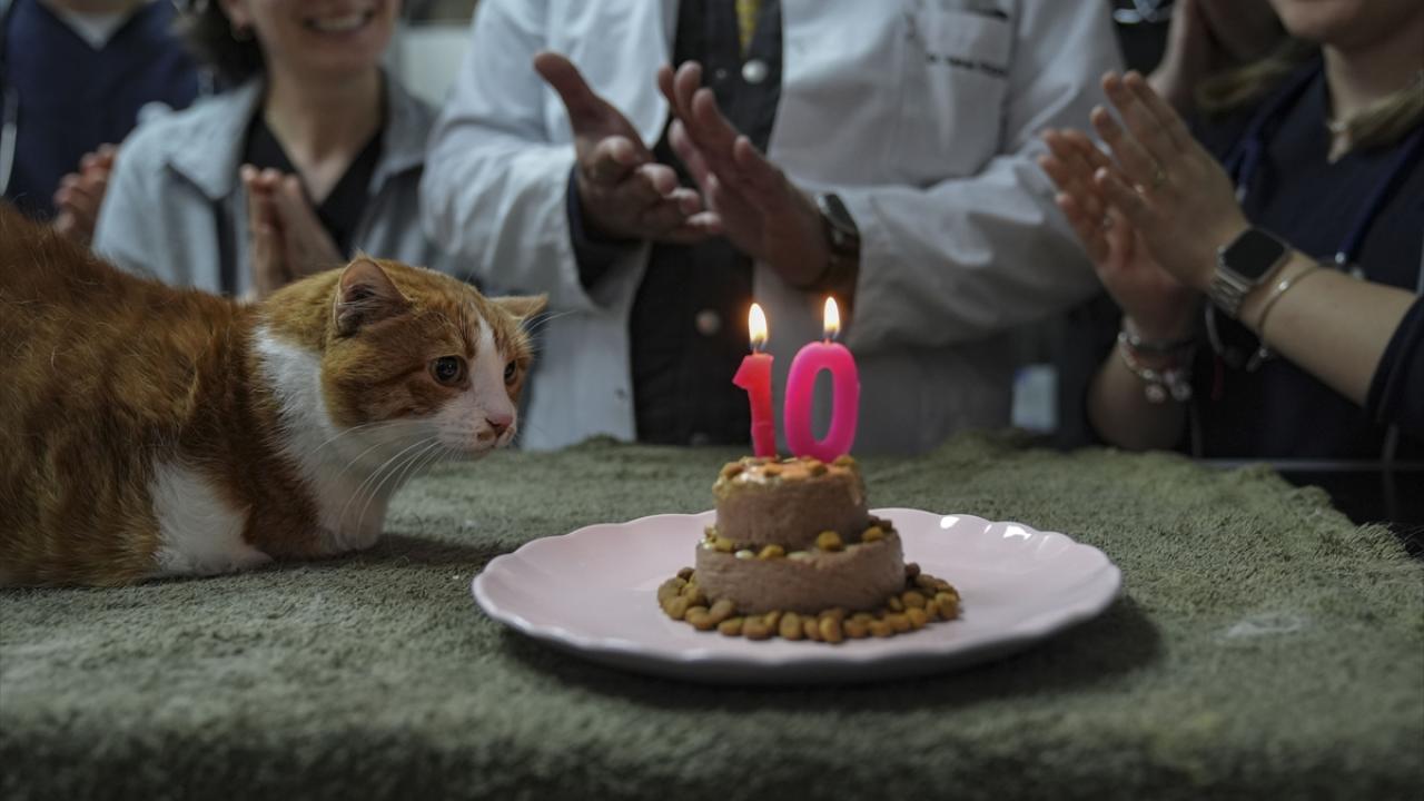 "Uyutun diyenlere en güzel cevabı 10 yıl sonra Umut veriyor"