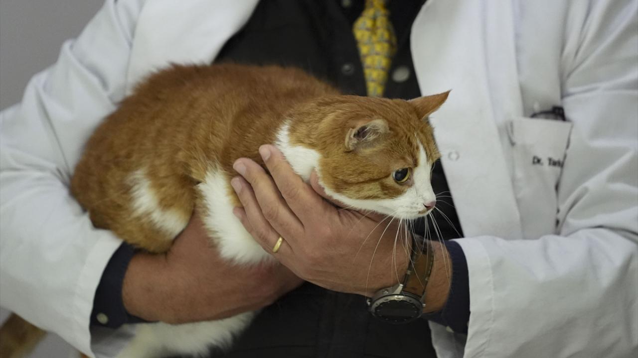 "Hiçbir problemin çözümü ölüm olmamalı"