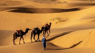 Dünyanın en büyük sıcak çölü: Büyük Sahra