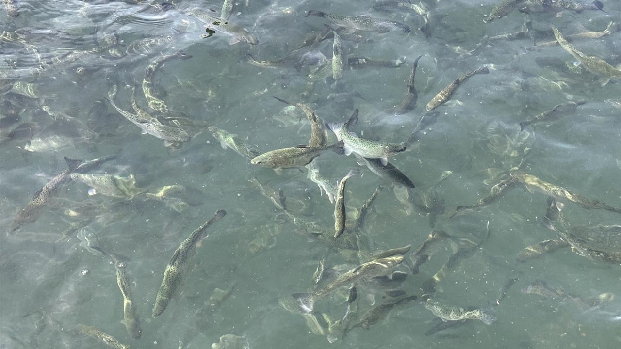 Üretim ve ihracat hedefi arttı