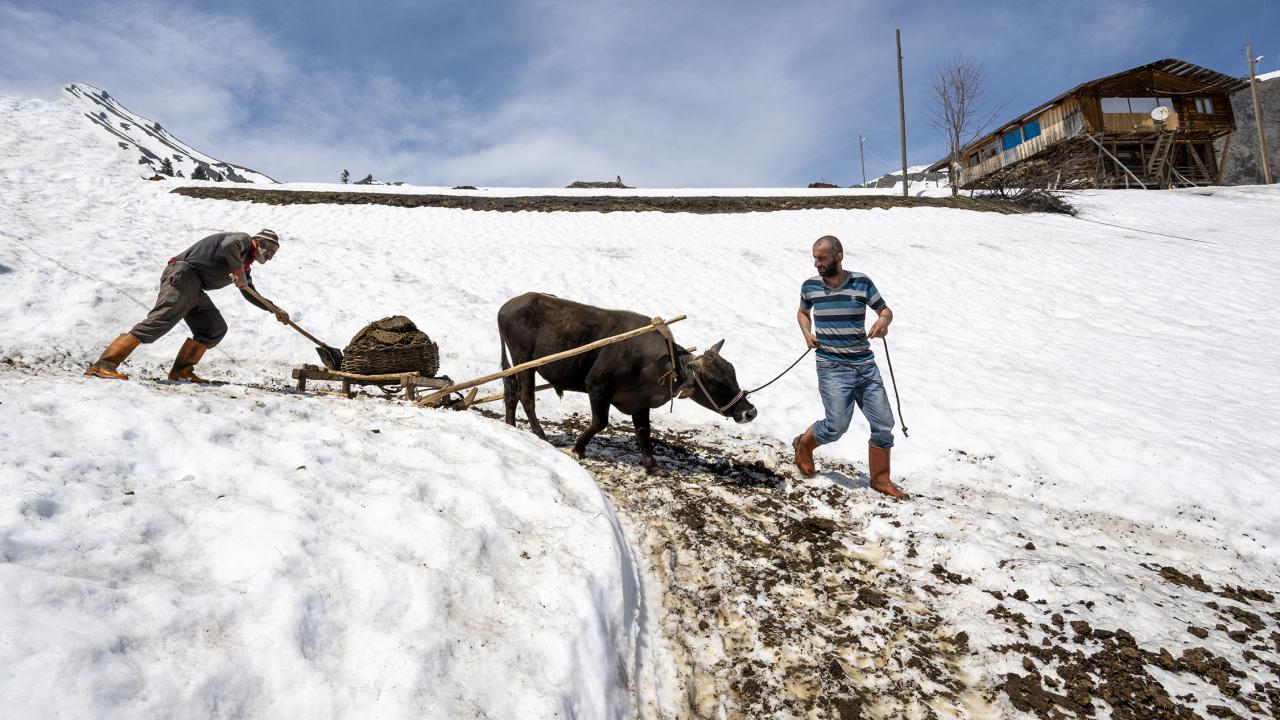 "Kar yağışıyla tarlalar karla kaplandı"
