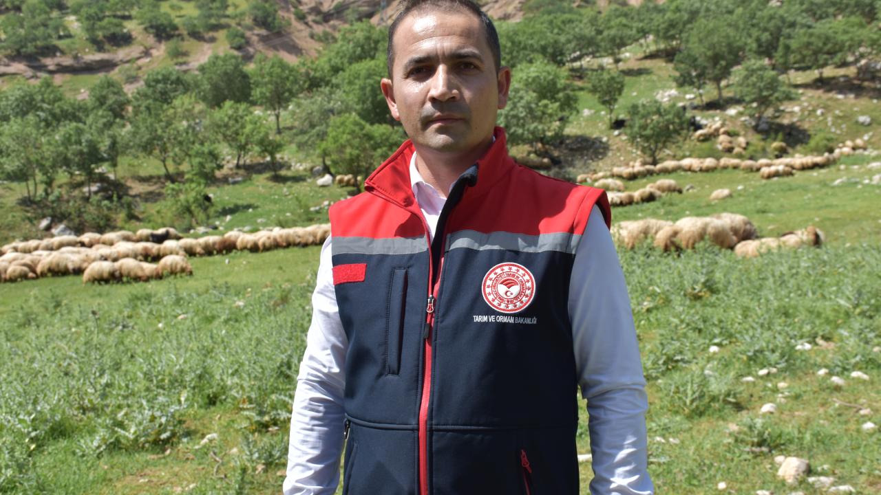 "Süt veriminde ve yavrulamada bereketli bir yıl olacağını öngörüyoruz"