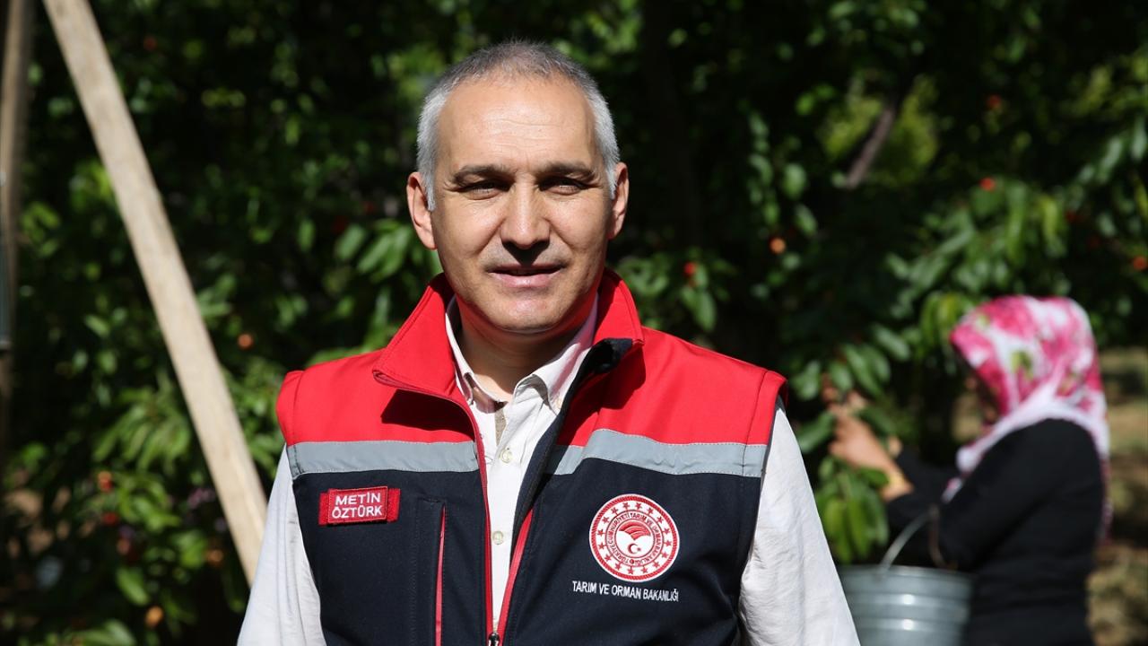 Yeni bahçelerle üretim artıyor