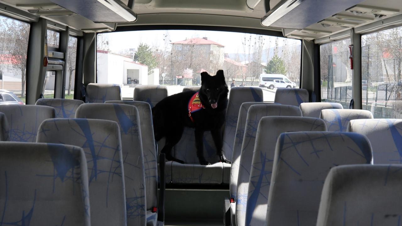 "Günlük eğitimler verilmektedir"