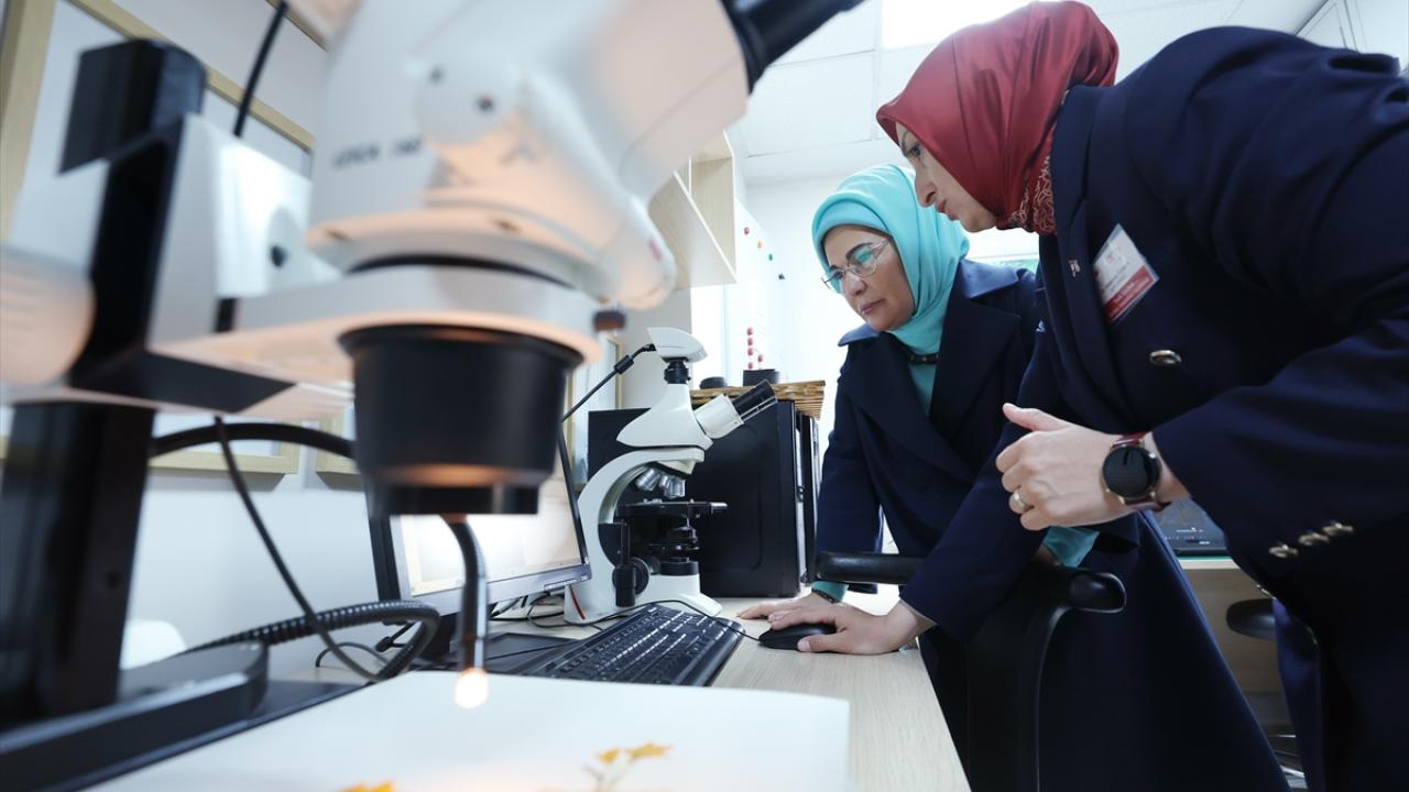 "2020-2022 yılları arasında 1537 tohum toplandı"