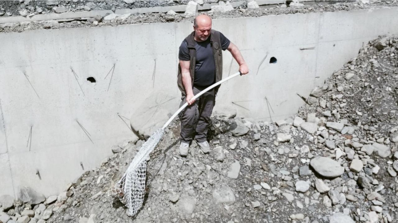 Kastamonu'da inşaat çukuruna düşen çakal kurtarıldı