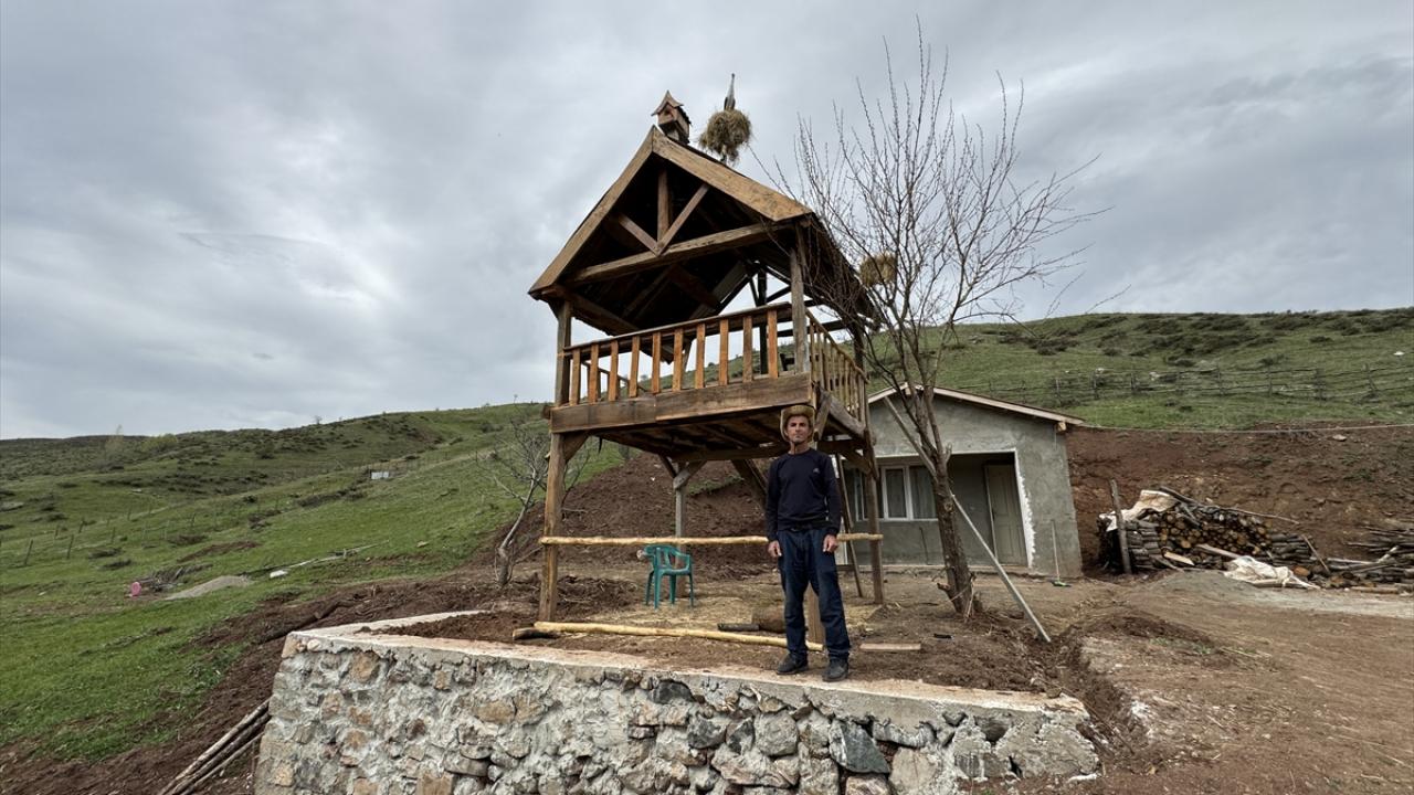 "İnşallah bir leylek yanına konar"