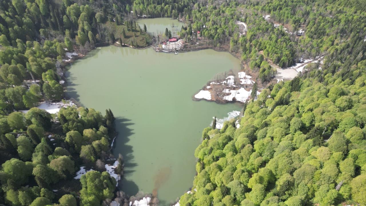 "Burası `cennetten bir köşe` olarak tarif edebileceğimiz bir yer"