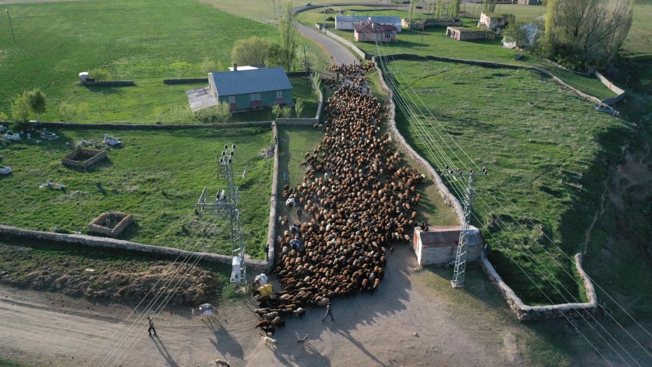 "4-5 gündür yollardayız, yolculuk zor geçiyor"