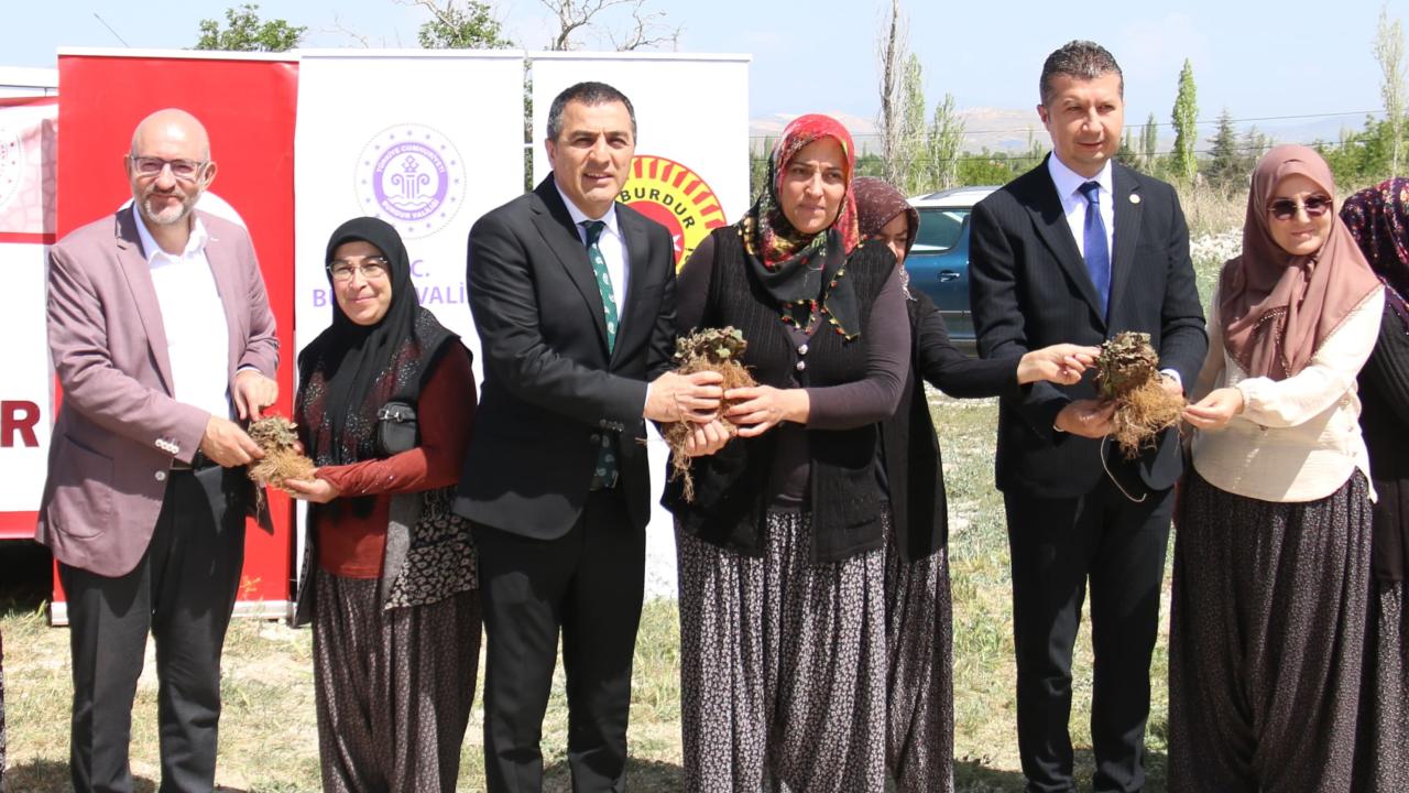 Burdur'da kadın çiftçilere 60 bin çilek fidesi dağıtıldı