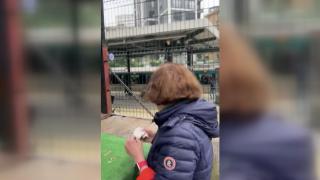 İlahi söyleyen çocuğa sözlü taciz