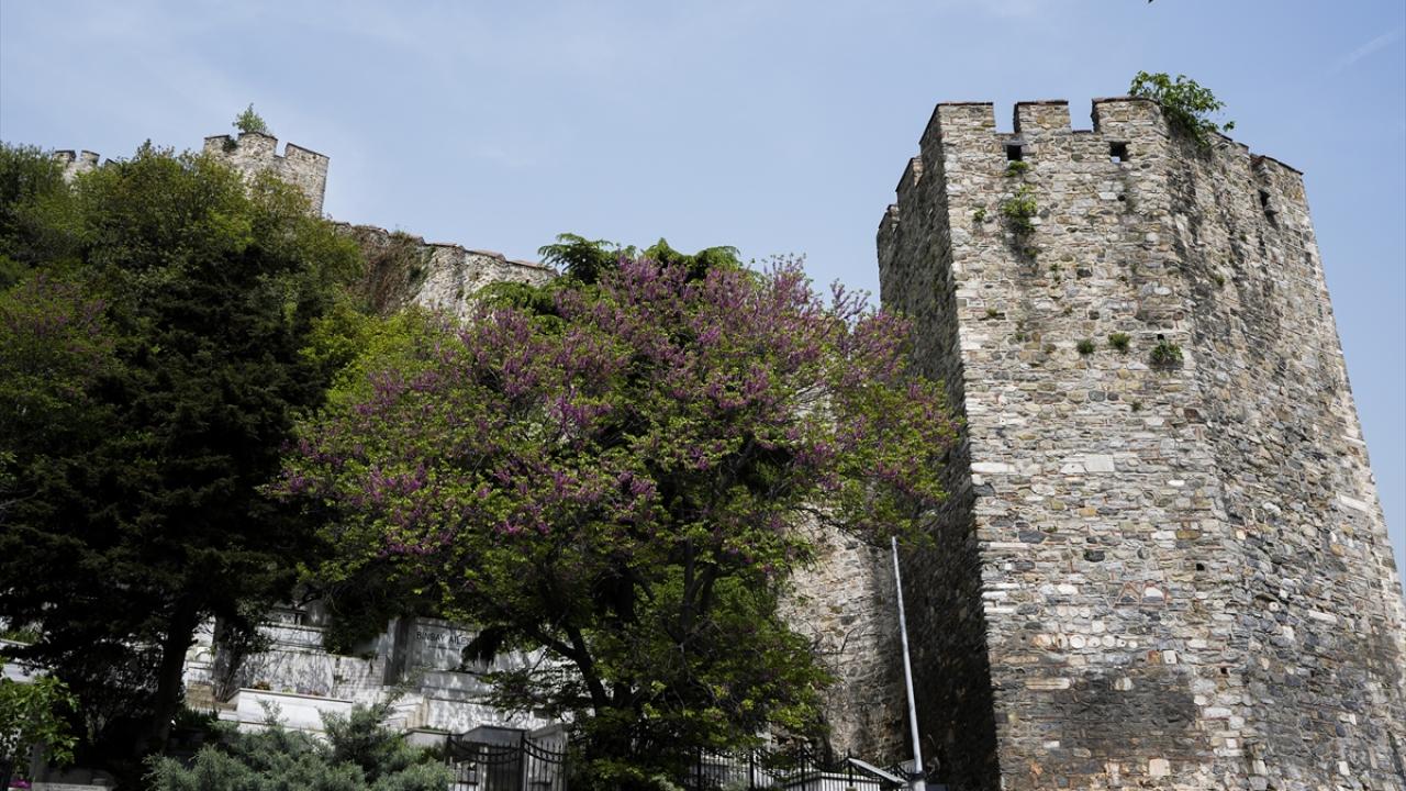 "İstanbul ile tabiat ilişkisini yeni nesle aşılamak lazım"