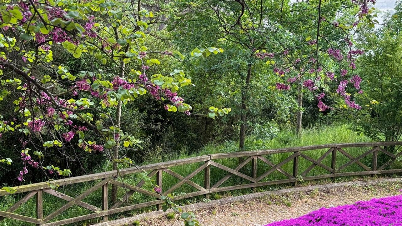 "İlhamım Japonlar olmuştu"