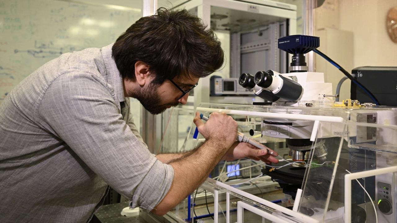 Mikroplastikler bariyerleri aşarak beyinde birikebiliyor