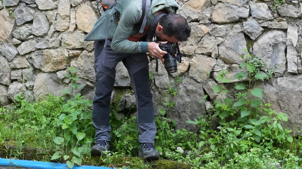 "Bu yerlere zarar verilmemesi, suların kirletilmemesi lazım"
