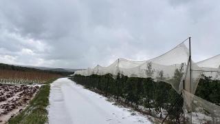 Mersin'de dolu etkili oldu: Tarım arazileri zarar gördü