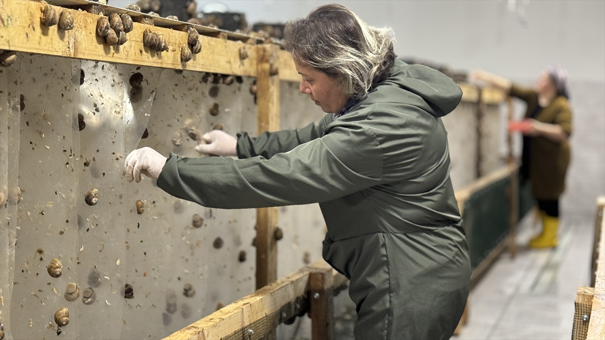 "İşletmemizin en önemli prensiplerinden birisi sıfır atık"