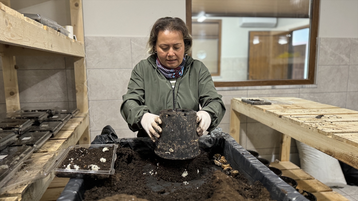 "Hedefimiz kendi kremimizle piyasaya çıkmak"