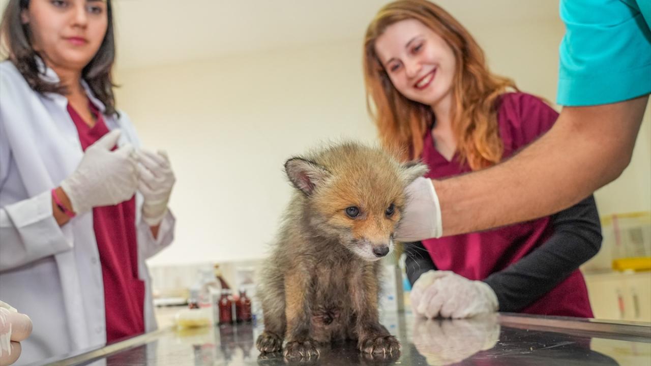 "3-4 ay bakımlarını yapacağız"