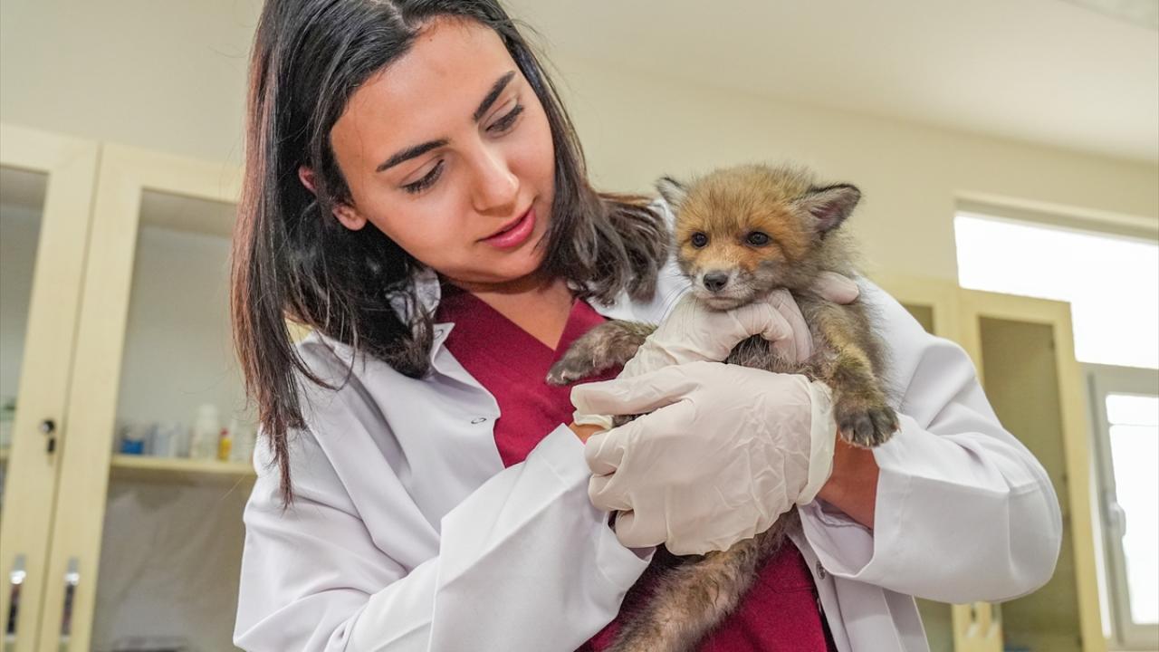 "Onlara annelerinin yokluğunu hissettirmeyeceğiz"