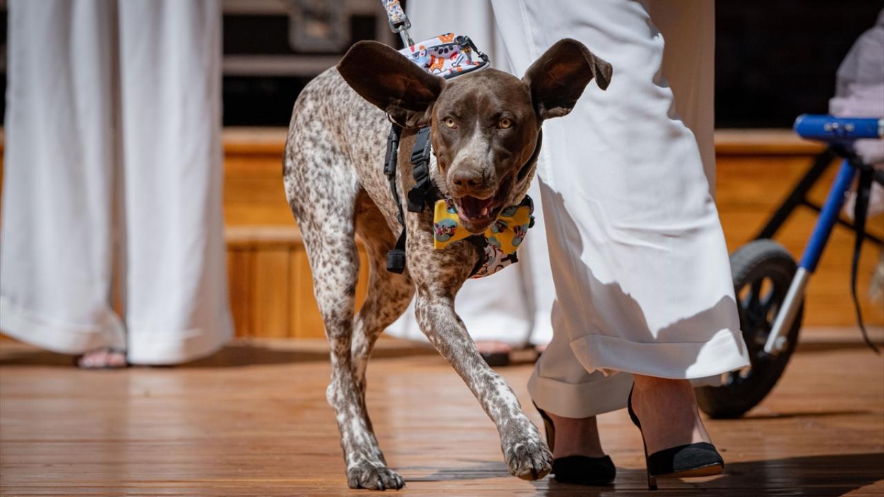 "Günün yıldızı onlar"