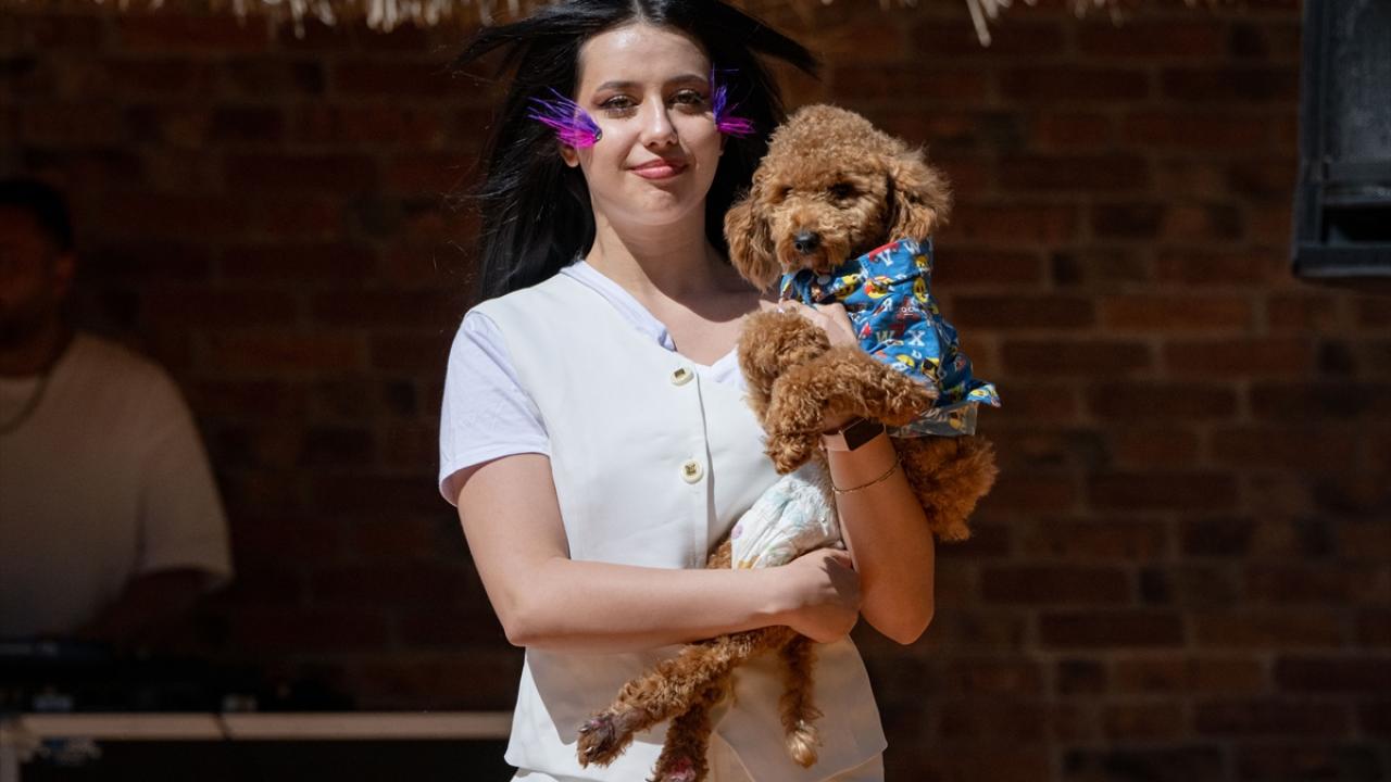 "Defilede yer alanların çoğu sokak hayvanı"