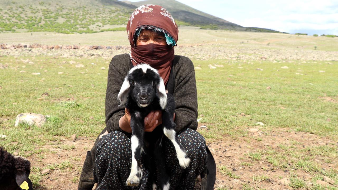 "12 ayımız çadırlarda geçiyor"