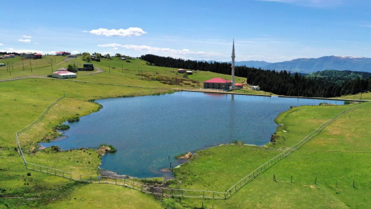 Doğu Karadeniz yaylalarına göç başladı