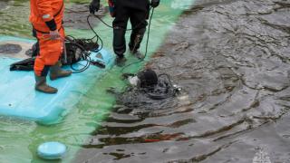 Rusya'da yolcu otobüsü nehre düştü: 4 ölü