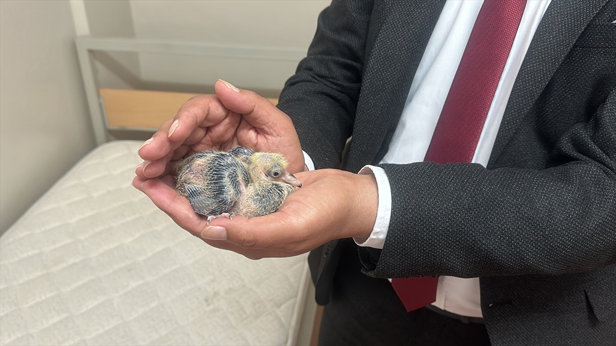 "Büyüyünceye kadar burada misafir edeceğiz"