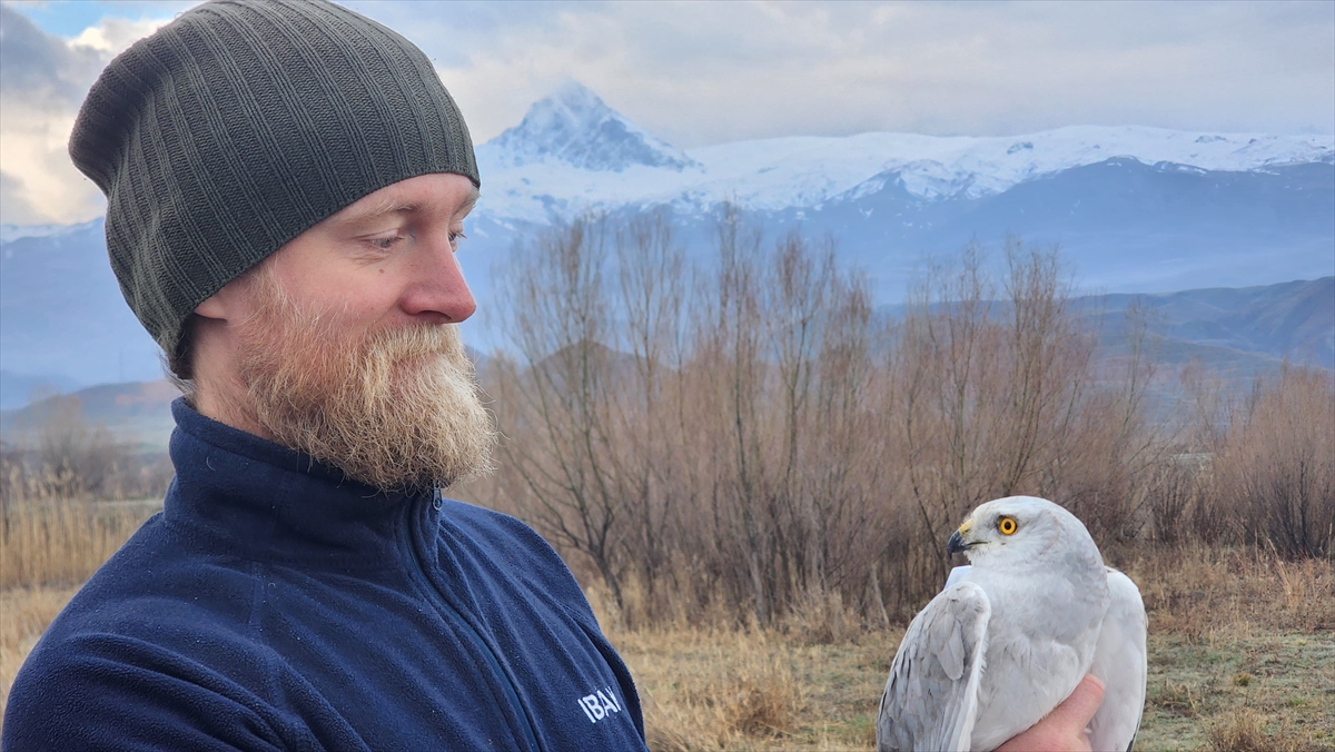 Halkalama çalışmaları hız kesmeden sürüyor