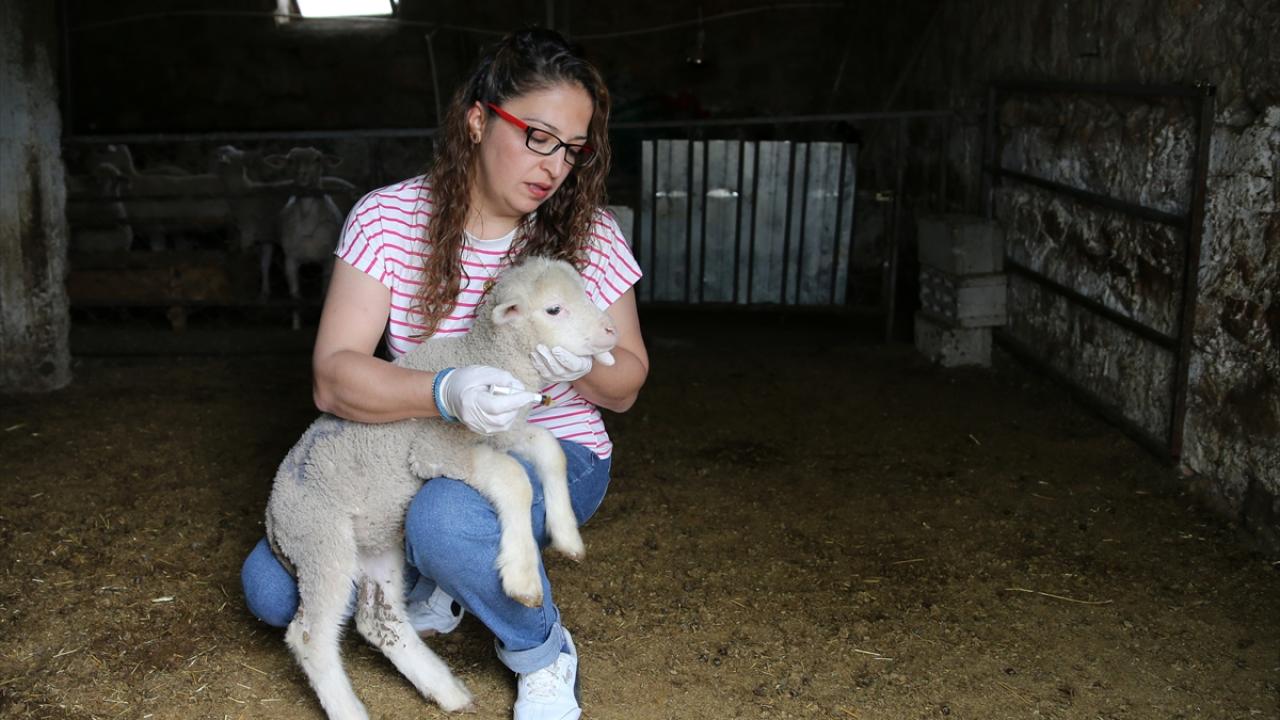 "Hepsi çocuğumuz gibi"