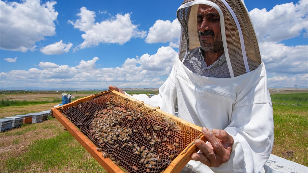 "Arıcı için bir gün de olsa faydası var"