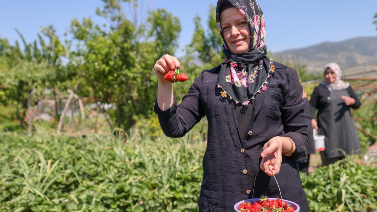 "Tazesi ile çok bir farkı yok"